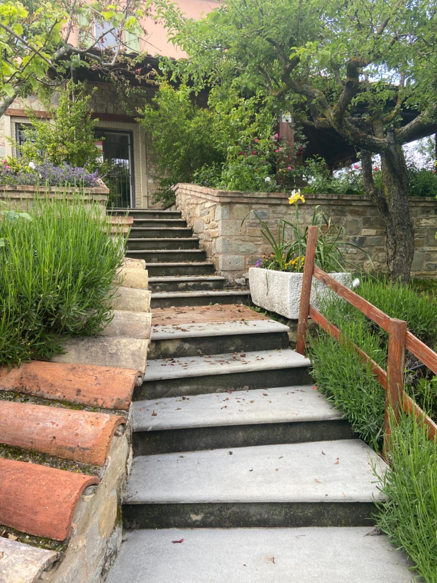 Villa Agriturismo I Tassoni à Pavullo nel Frignano Extérieur photo